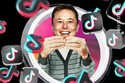 Tiktoks Fake Musk Crypto Scams Siphons Millions From Users Dailycoin