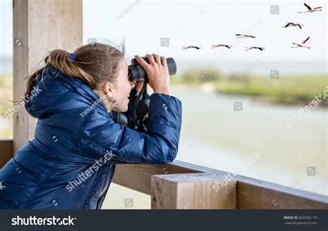 25,266 Young bird watching Images, Stock Photos & Vectors | Shutterstock