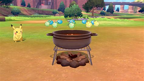 A Guide to Camping and Cooking Curry in Pokémon Sword and Shield - Paste Magazine