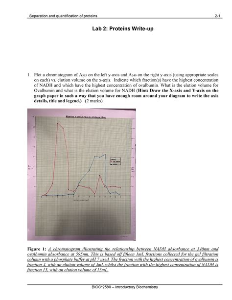 Protein Lab Write Up Separation And Quantification Of Proteins 2