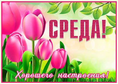 otkrytka  sredoy  tsvetami otkrytki onlayn