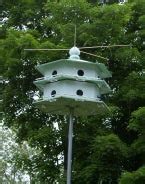 Magic Halo To Keep House Sparrows HOSP Away From Feeders