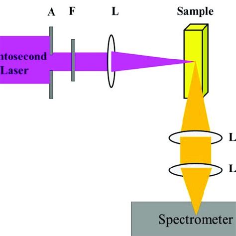 Schematic Of The Multi Photon Excited Florescence The Incident Laser