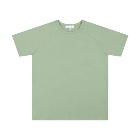 Hoxton Short Sleeve T Shirt Sage Shirts Stretch Cotton Fabric T Shirt