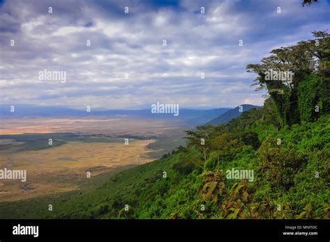 Ngorongoro crater aerial hi-res stock photography and images - Alamy