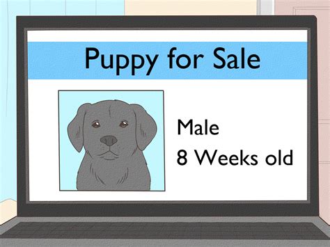 Do Male Dogs Like Their Puppies