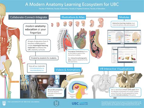 Anatomy Learning Ecosystems | The HIVE