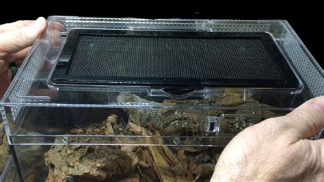 Review Of Isopod Display Enclosures Isopod Lodge And