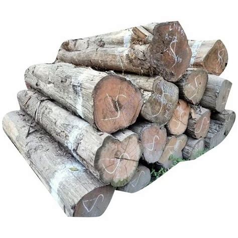 Brown Round Feet Pine Wood Logs For Furniture Mm At Rs Cubic