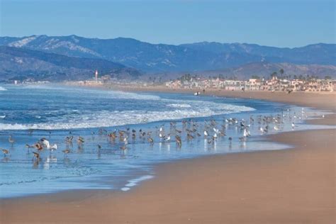 Ultimate Family Destination: Best Beaches in Oxnard, CA with Kids