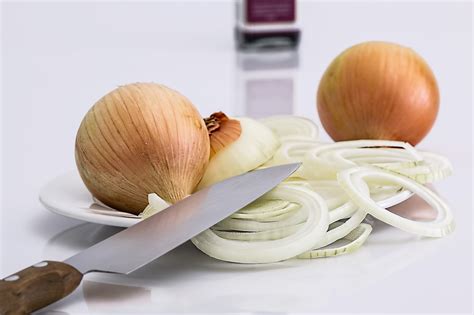 Free Sprouting Onion Onion Images Pixabay