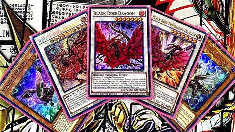 Updated Black Rose Dragon Deck Profile June Yu Gi Oh Youtube