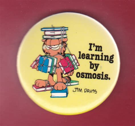 Vintage Garfield Button For Home Decor