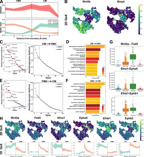 Spatial Transcriptomics Based Ligand Receptor Analysis Demonstrates Download Scientific Diagram