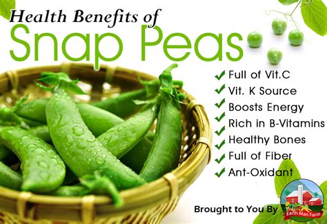 Health Benefits Of Snap Peas Earth Man Farm