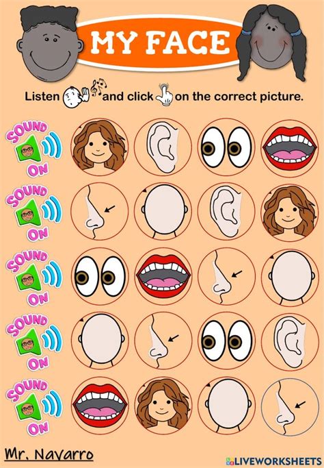 Parts of the Face Worksheet for Elementary School