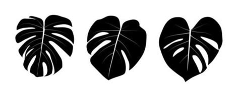 Leaf Vector Art, Icons, and Graphics for Free Download