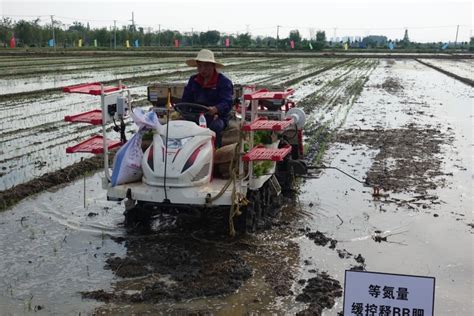 我所开展水稻插秧同步侧深施肥机试验示范