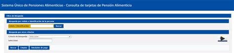 Consulta De Pensiones Alimenticias Supa Informe Ecuador