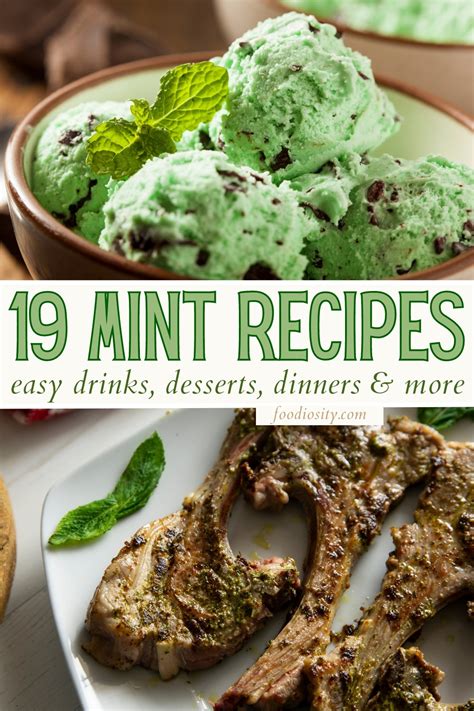 19 Mint Recipes - Easy Ideas for Fresh Mint - Foodiosity