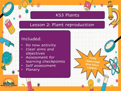 Ks3 Plant Reproduction Teaching Resources