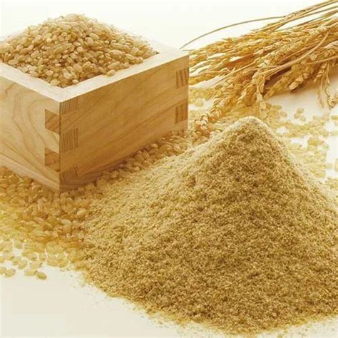 raw rice bran manufacturers wholesale bulk suppliers  india rilik