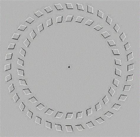 Ces 30 Illusions Doptique Vont Vous Couper Le Souffle Optical