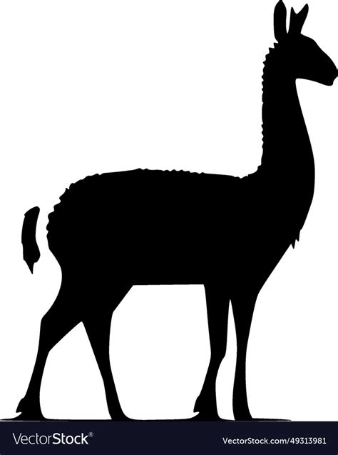 Llama - high quality logo - ideal for t-shirt Vector Image