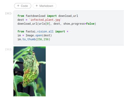 Build an AI based image classification (Healthy vs Infected plant) tool ...