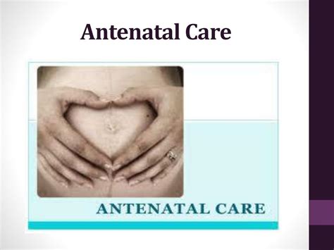 Ppt Antenatal And Postnatal Care And How It Is Delivered Powerpoint Presentation Id 2051459