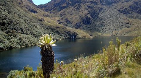 El Ecoturismo en el Parque Nacional Natural Las Hermosas no está