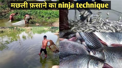 Fishing Technique मछली पकड़ने का तरीका How To Catch Fish Youtube