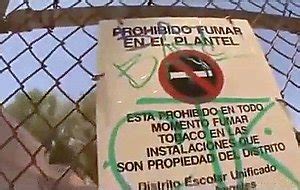 Allyssa Hall Videos And Porn Movies Pornmd