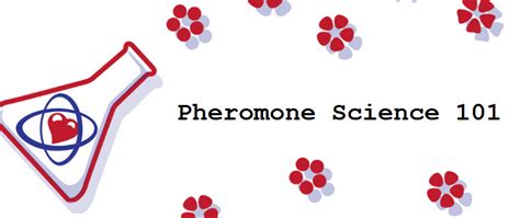 Pheromone Science 101: How Exactly Do They Work? • Love Scent ...