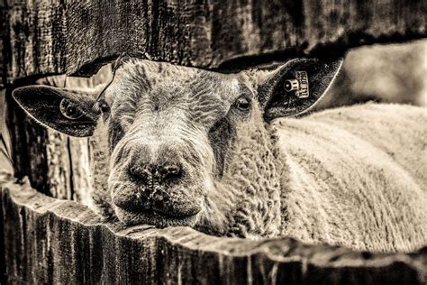 Moin Foto & Bild | deutschland, europe, schleswig- holstein Bilder auf ...