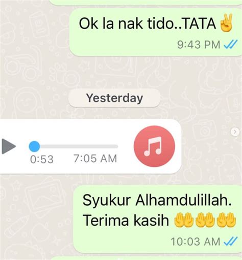 Ibu Shila Amzah Diceraikan Nd Lala Melalui Mesej Whatsapp News Tel