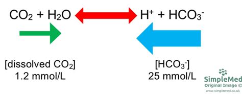 5 Carbon Dioxide Transport Simplemed Learning Medicine Simplified