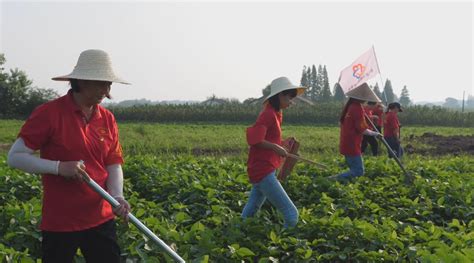 洞庭湖畔女子巡堤队奋战防汛一线 姐姐来了！新浪新闻