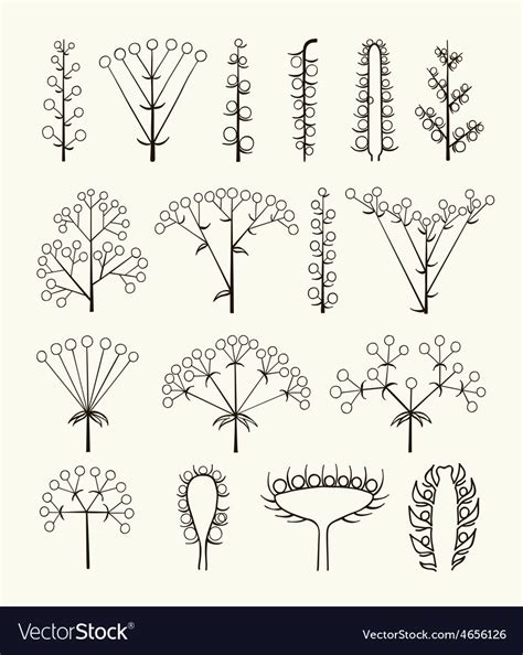 Set of different types of inflorescence Royalty Free Vector