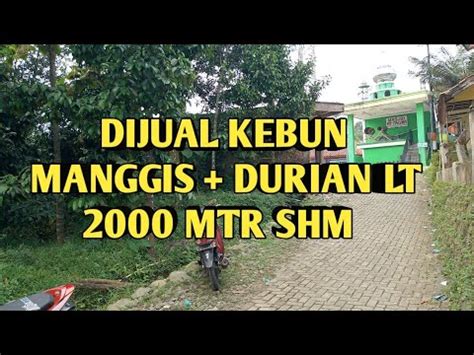 Dijual Tanah Kebun Manggis Lt Mtr Surat Shm Harga Juta Nego