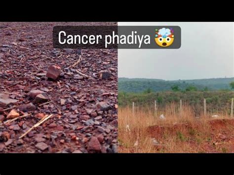 Cancer फडय ghumne गए जगल म gwalior vlogs YouTube