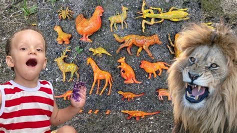 Os Animais Para Crianças Vocabulário Animais Selvagens Animais Da