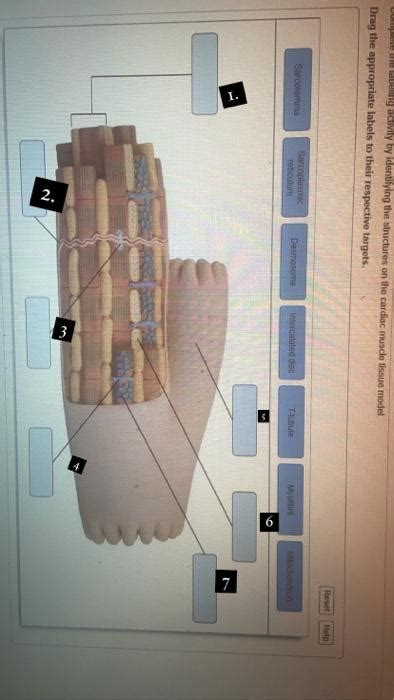 Solved Question Chegg