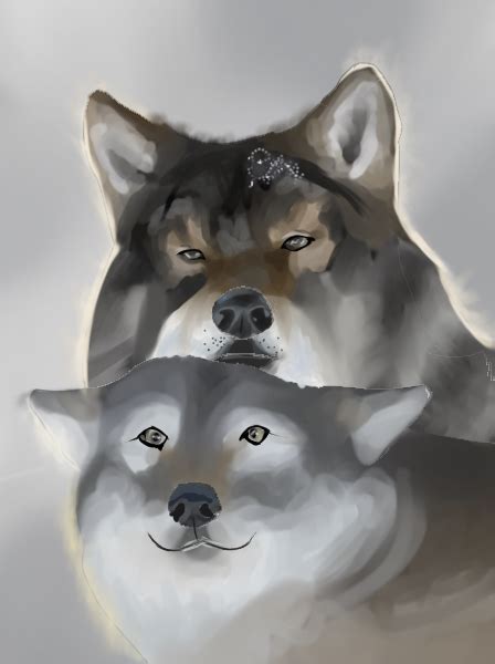 Just Some Wolves 🐺 Ibispaint