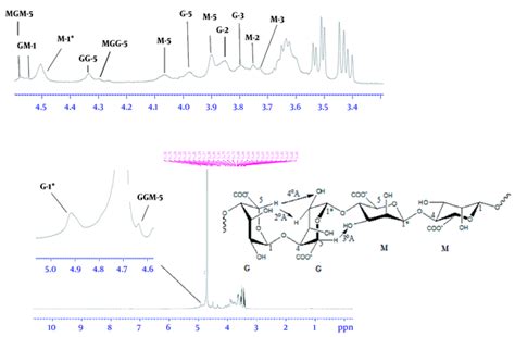 Production Of Alginate From Persian Gulf Sargassum Angustifolium