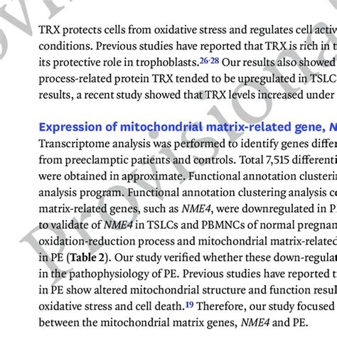 Differentiation And Characterization Of Tslcs Derived Ipscs A The