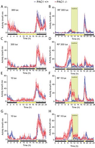 Altered Circadian Food Anticipatory Activity Rhythms In Pacap Receptor