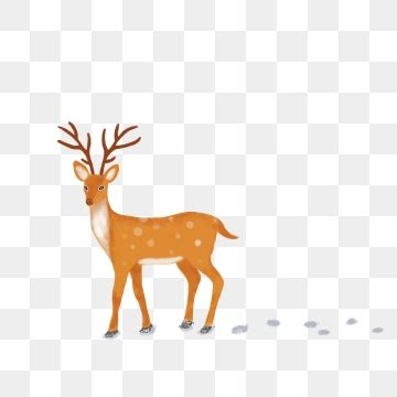 Deer Tracks Vector at Vectorified.com | Collection of Deer Tracks Vector free for personal use