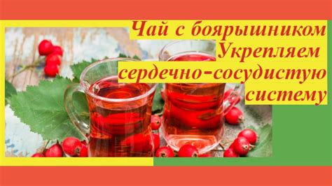 РЕЦЕПТ "СЕРДЕЧНОГО" ЧАЯ. БОЯРЫШНИК ПОЛЬЗА И ВРЕД. (при каких ...