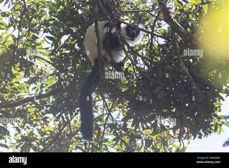 Madagascar - What a wonderful place!!! Stock Photo - Alamy